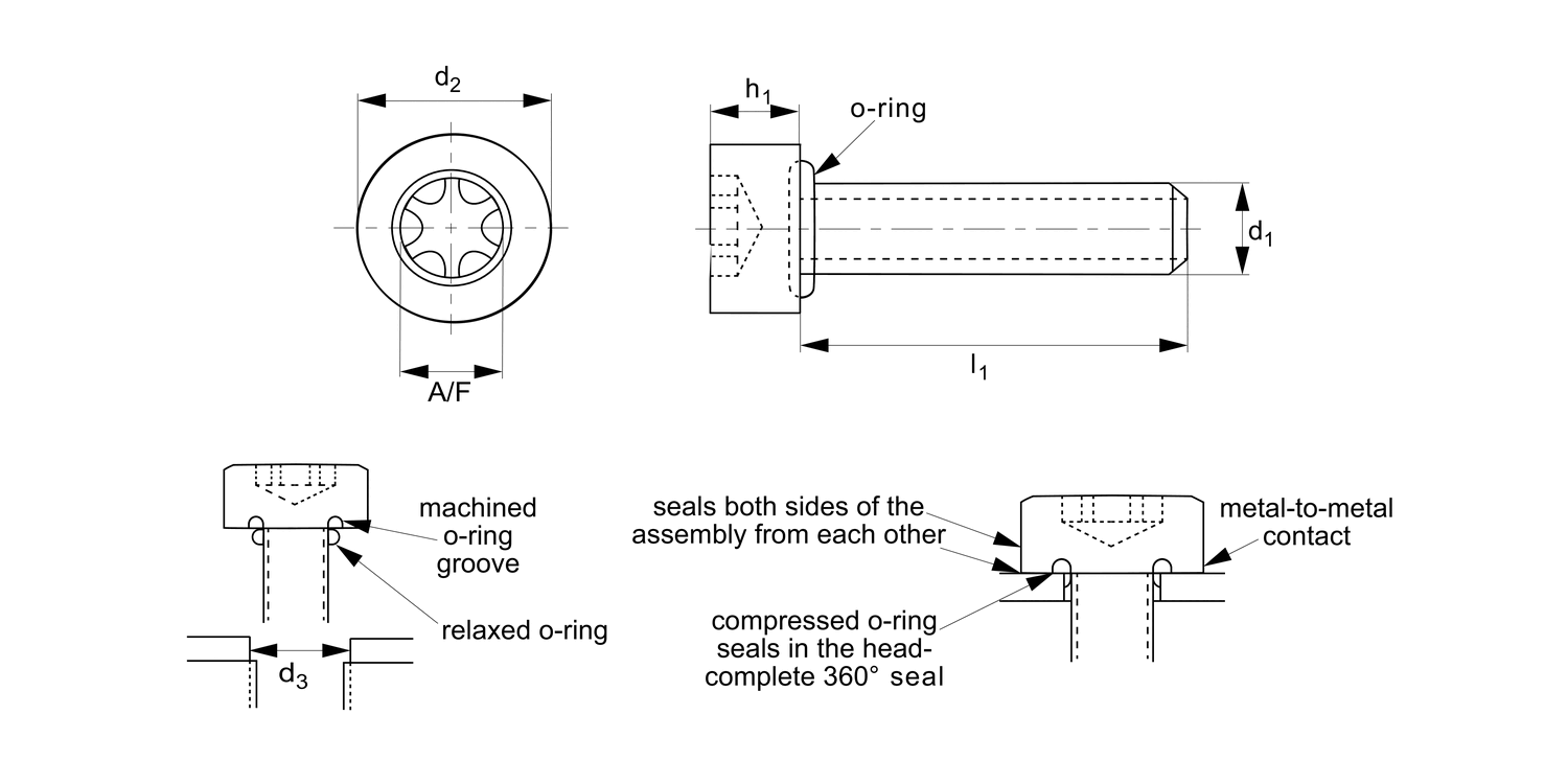 P0173.TX Cap Head Seal Screws