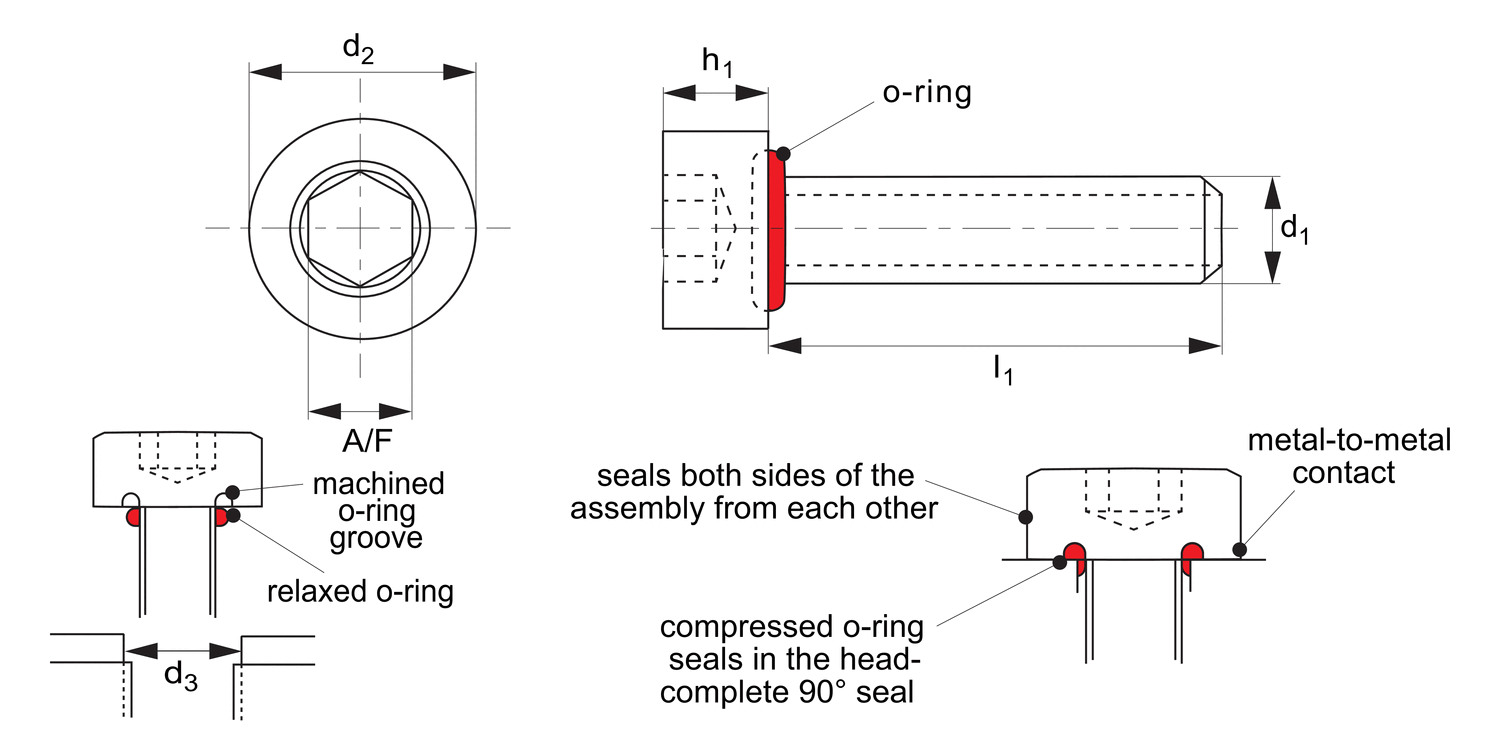 P0173 Cap Head Seal Screws