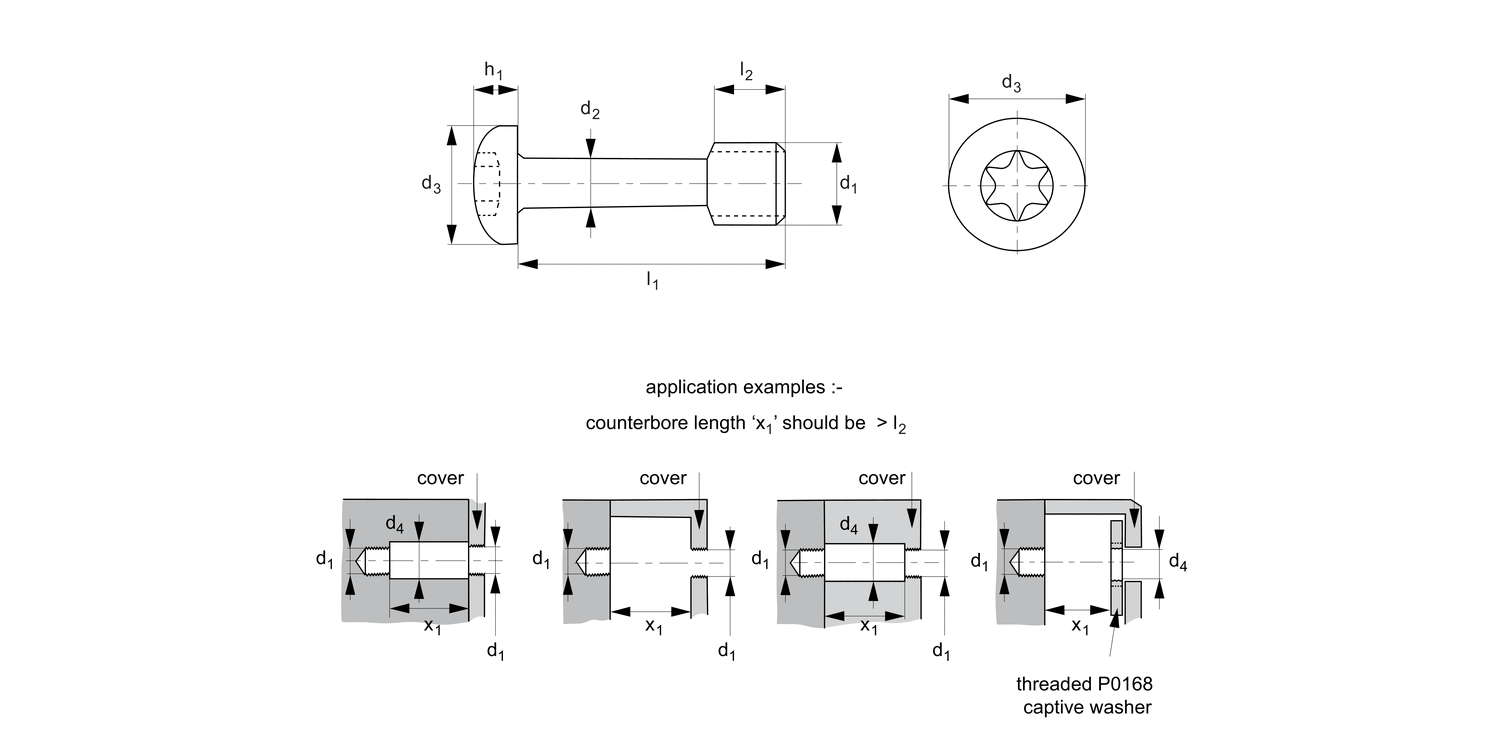 P0150.Ti Captive Screws - Pan Head