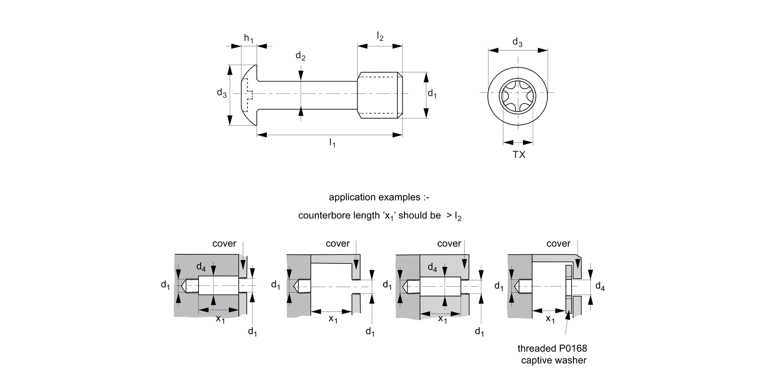 P0149.Ti Captive Screws - Button Head