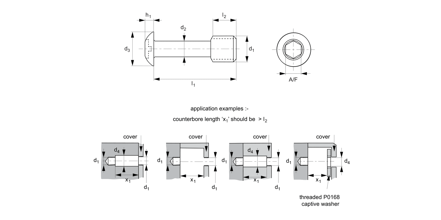 P0151.Ti Captive Screws - Button Head