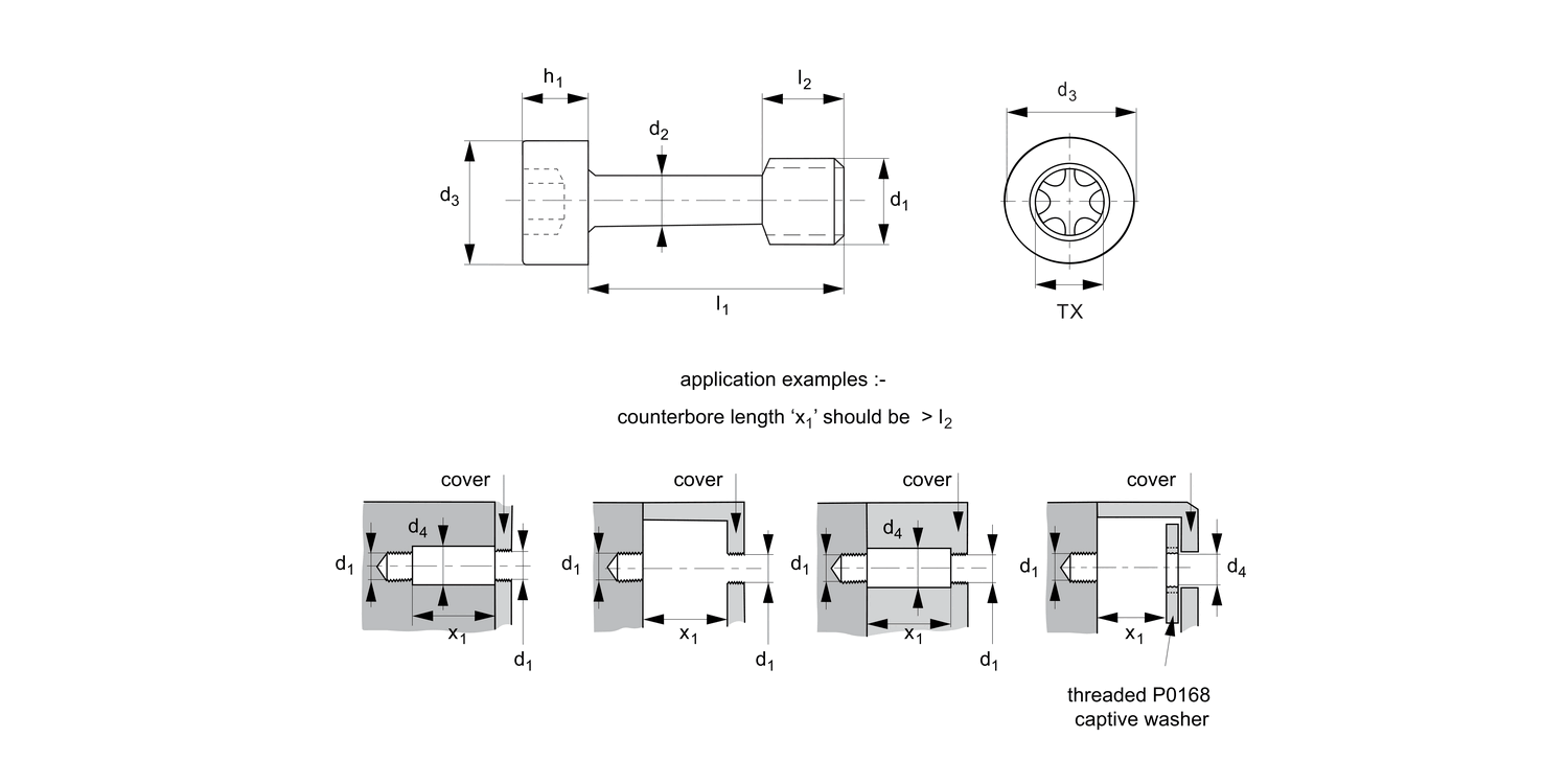 P0156.Ti Captive Screws - Cap Head