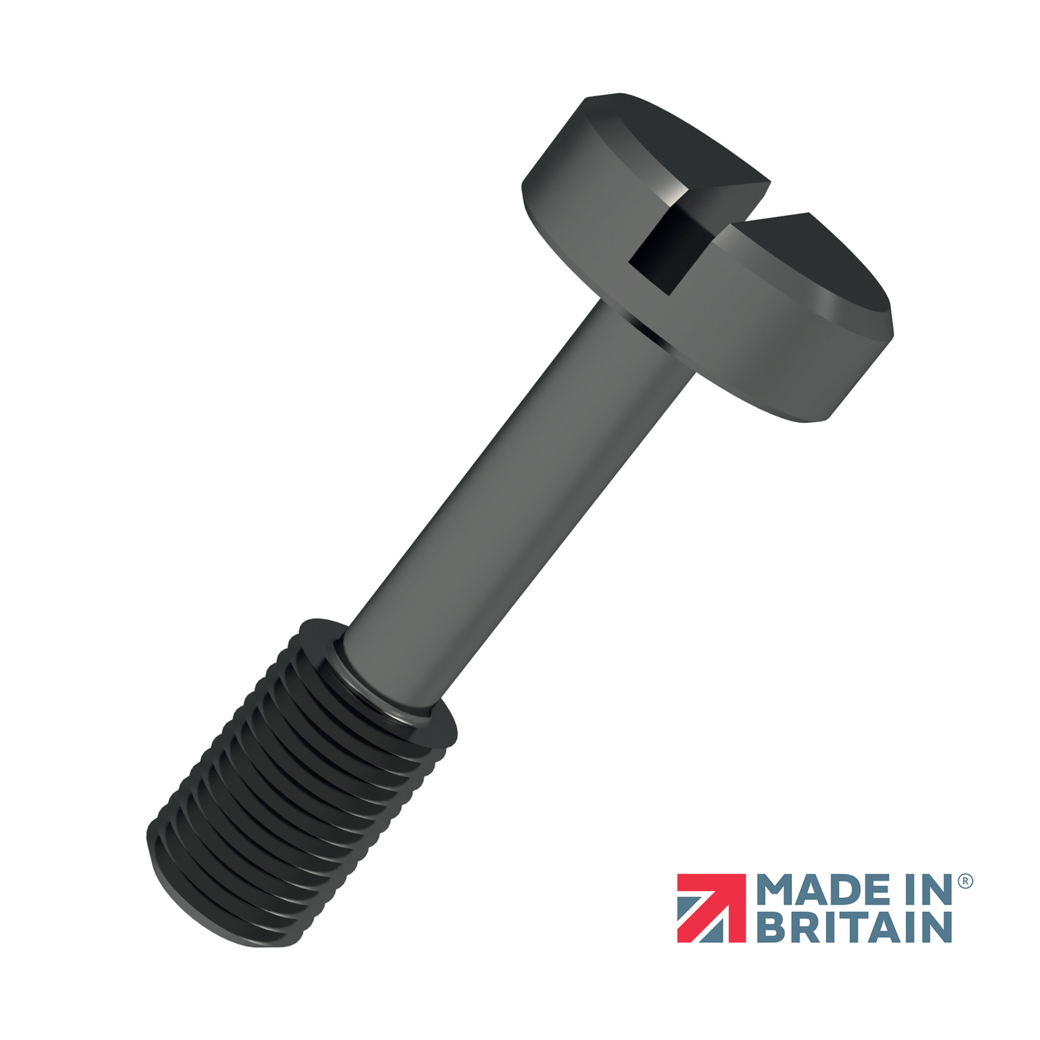 P0155.B2 Captive Screws - Cheese Head