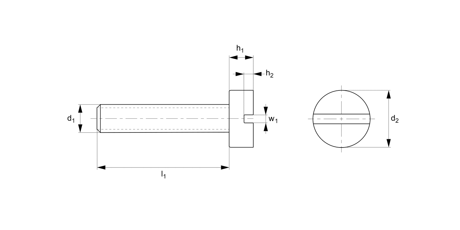 P0239.A2 Slot Cheese Head Screws