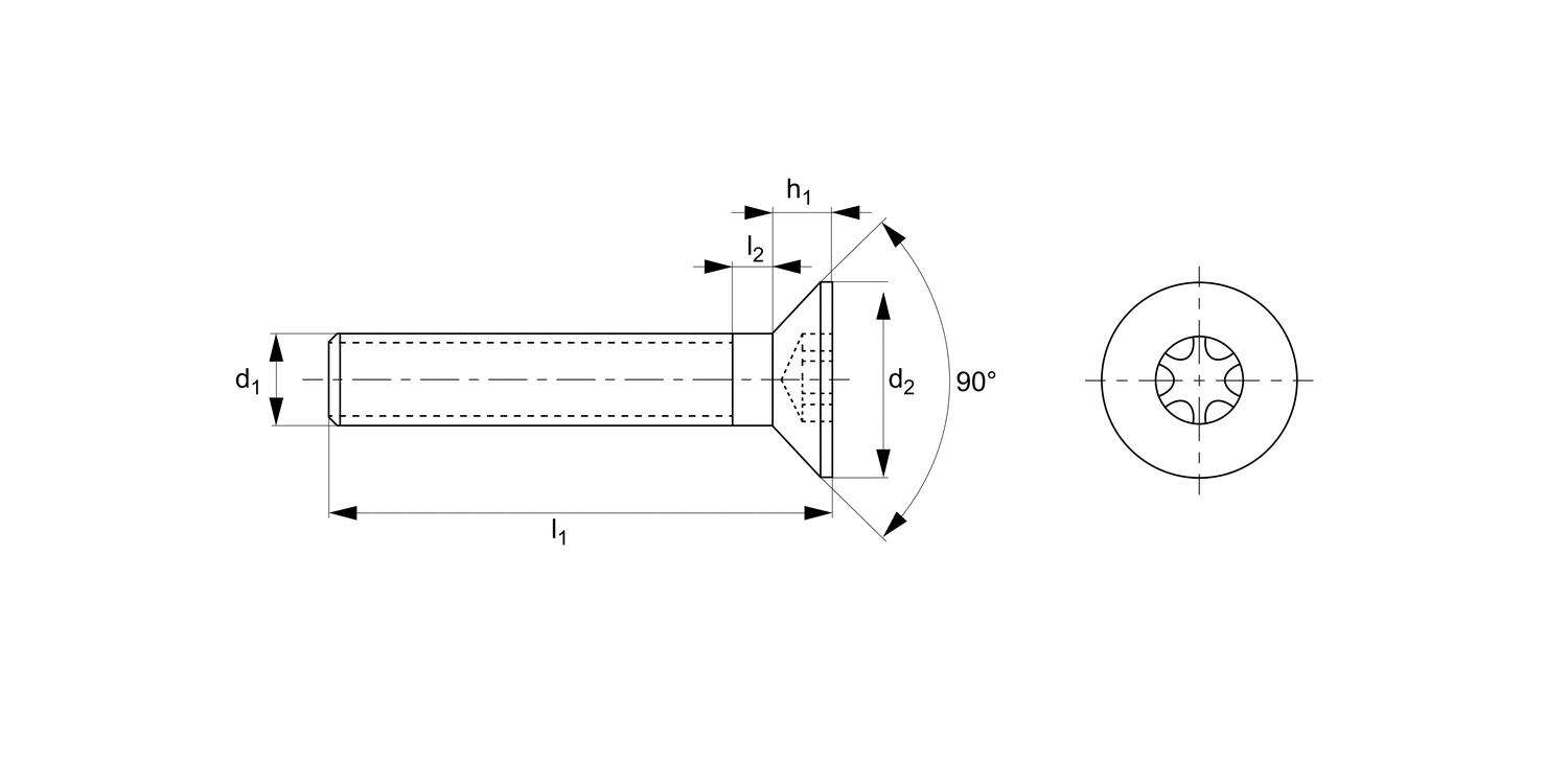 P0515.NP Torx Countersunk Head Screws