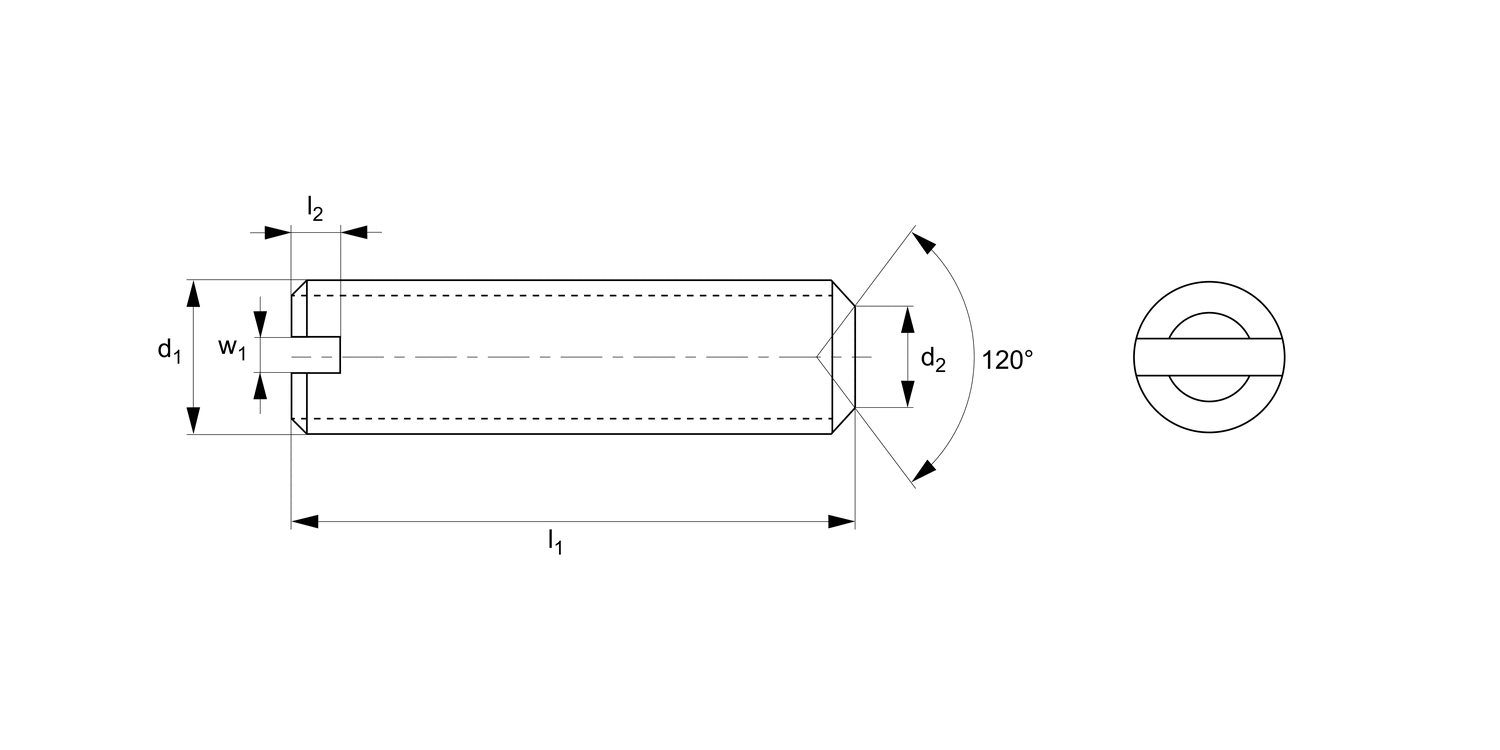 P0276.A2 Slotted Set Screws Cup Point