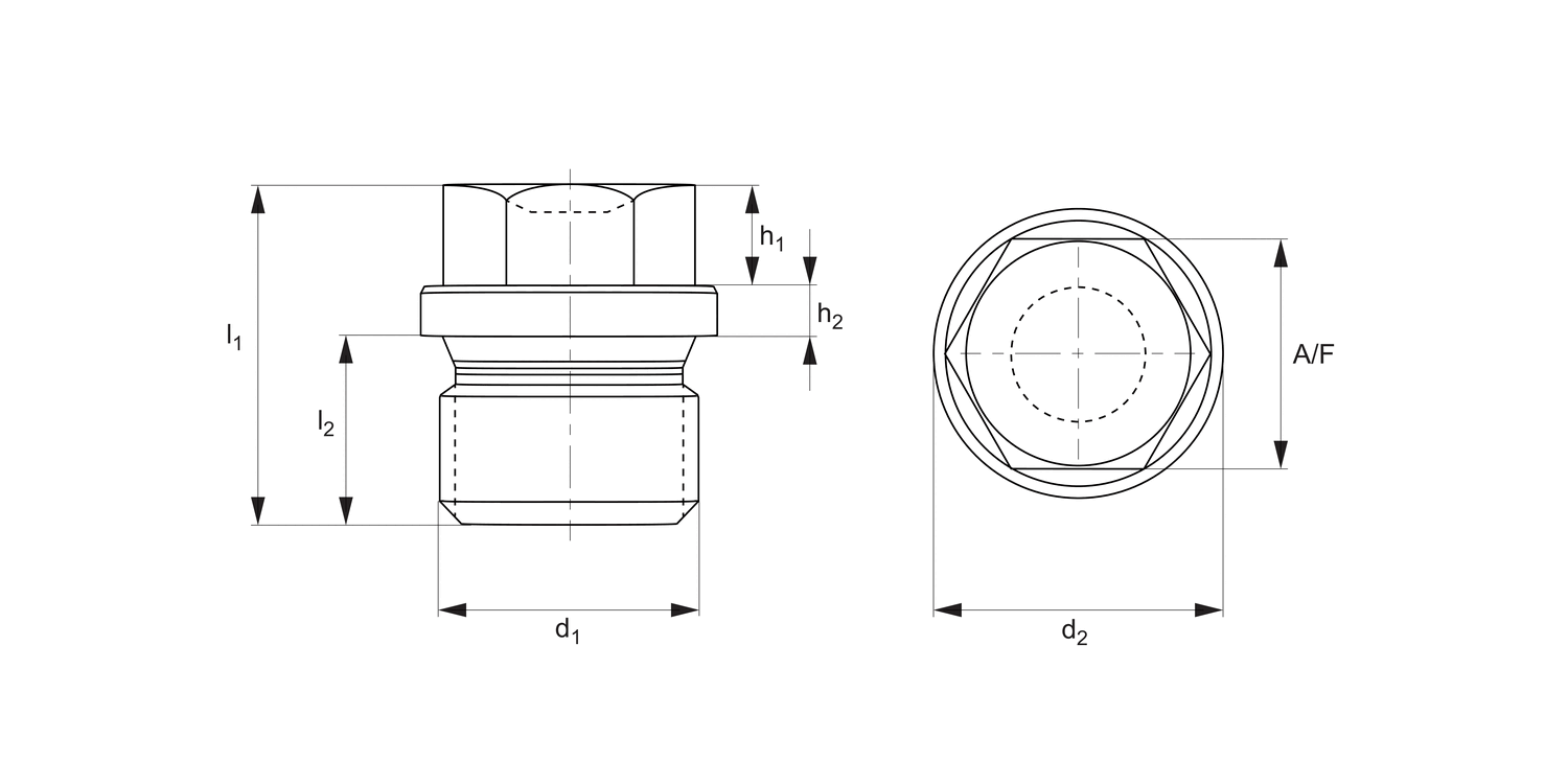 P0182 Blanking Plugs Heavy Duty