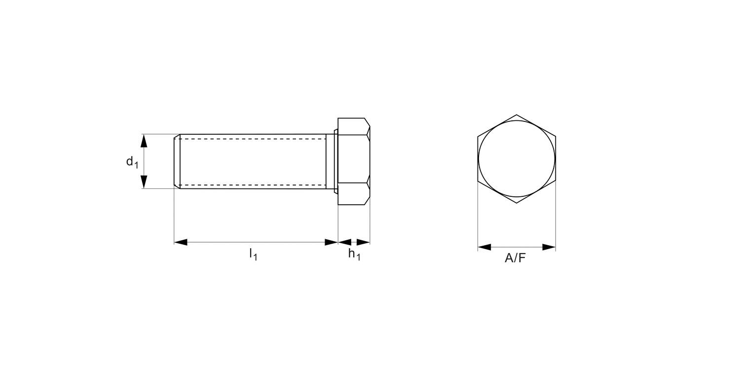 P0101 Titanium Hex Head Bolts