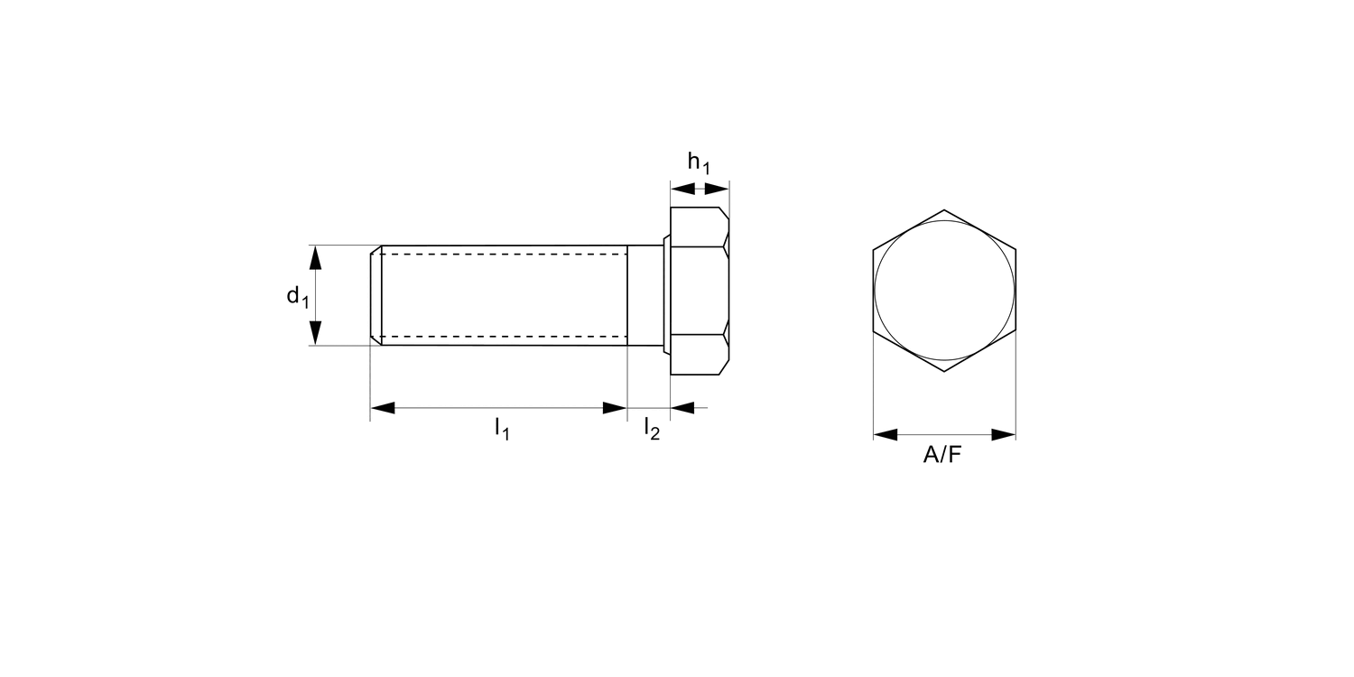 P0501.NP Hexagonal Head Set Screw