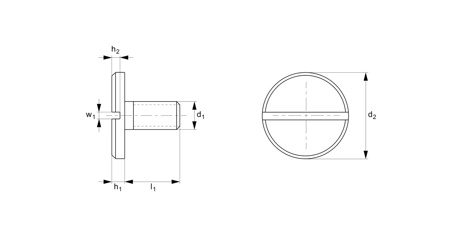 P0238 Large Head Slot Pan Head Screws