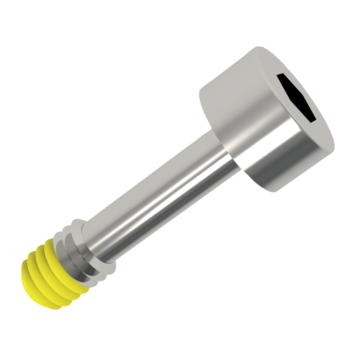 Product P0154.P2, Captive Screws - Cap Head hex drive - 303 stainless - with locking patch / 