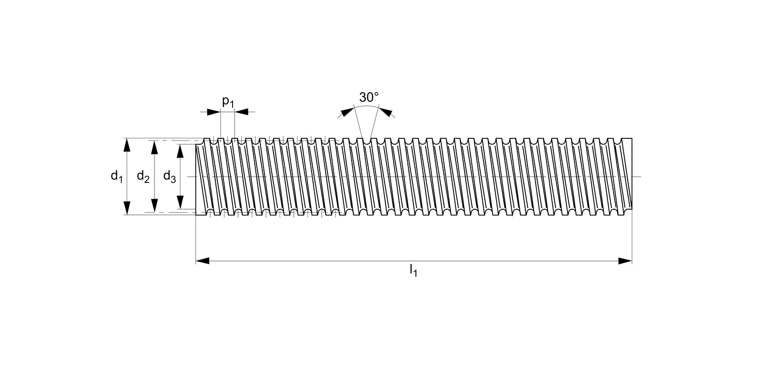 L1322 Stainless 316  Lead Screws