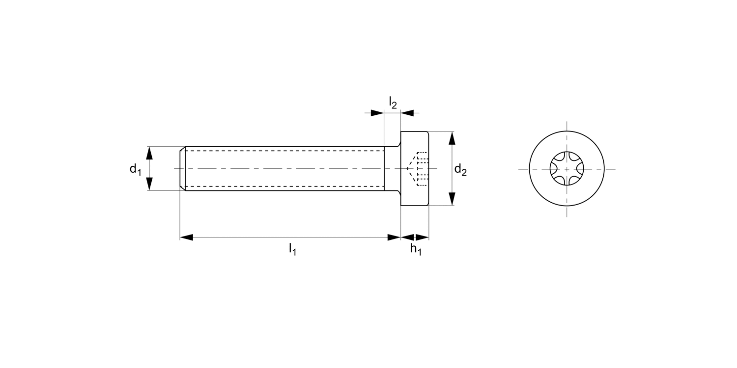 P0509.NP Torx Low Cap Head Screws