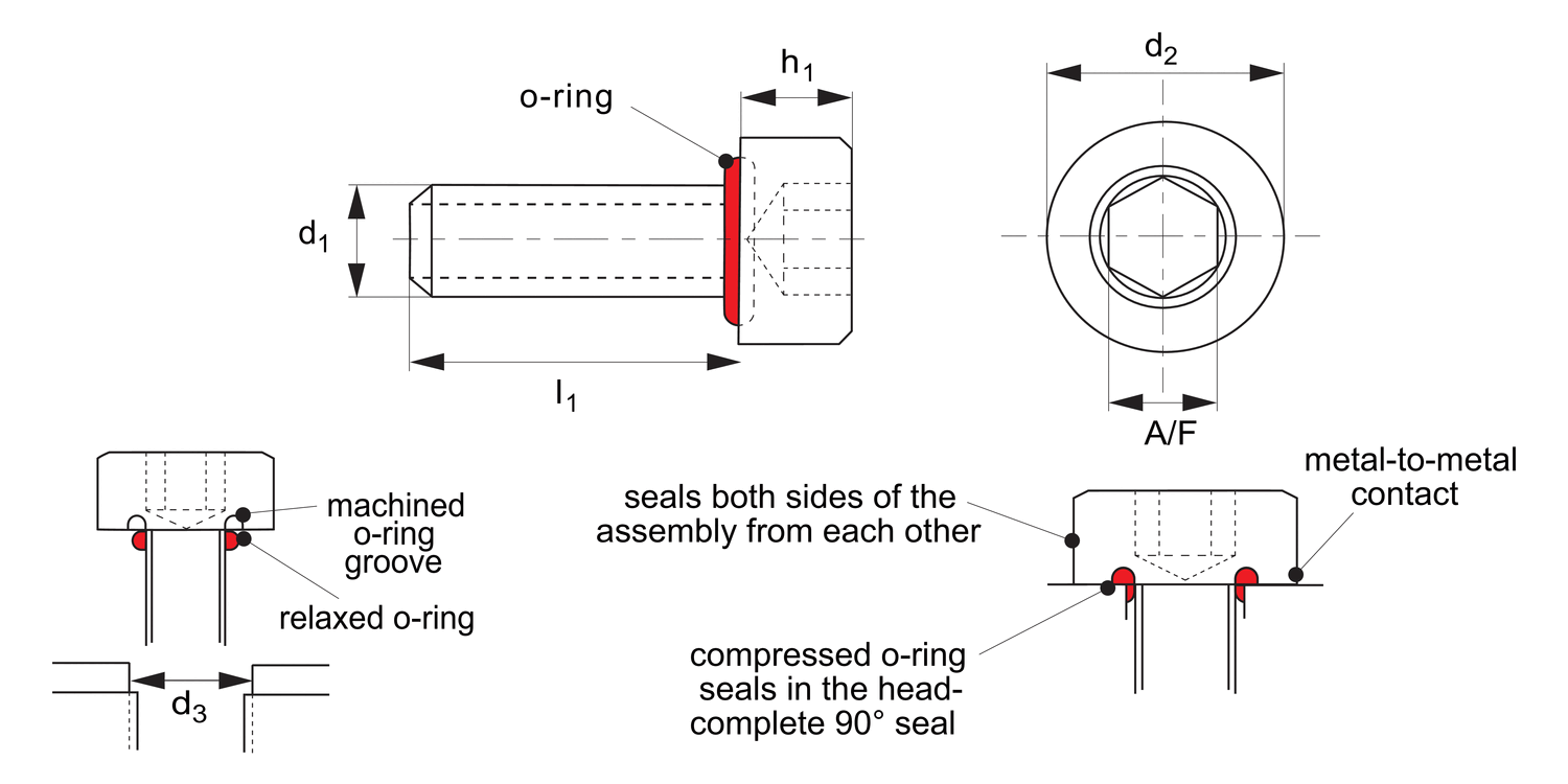 P0173.P2 Seal Screws - Cap Head