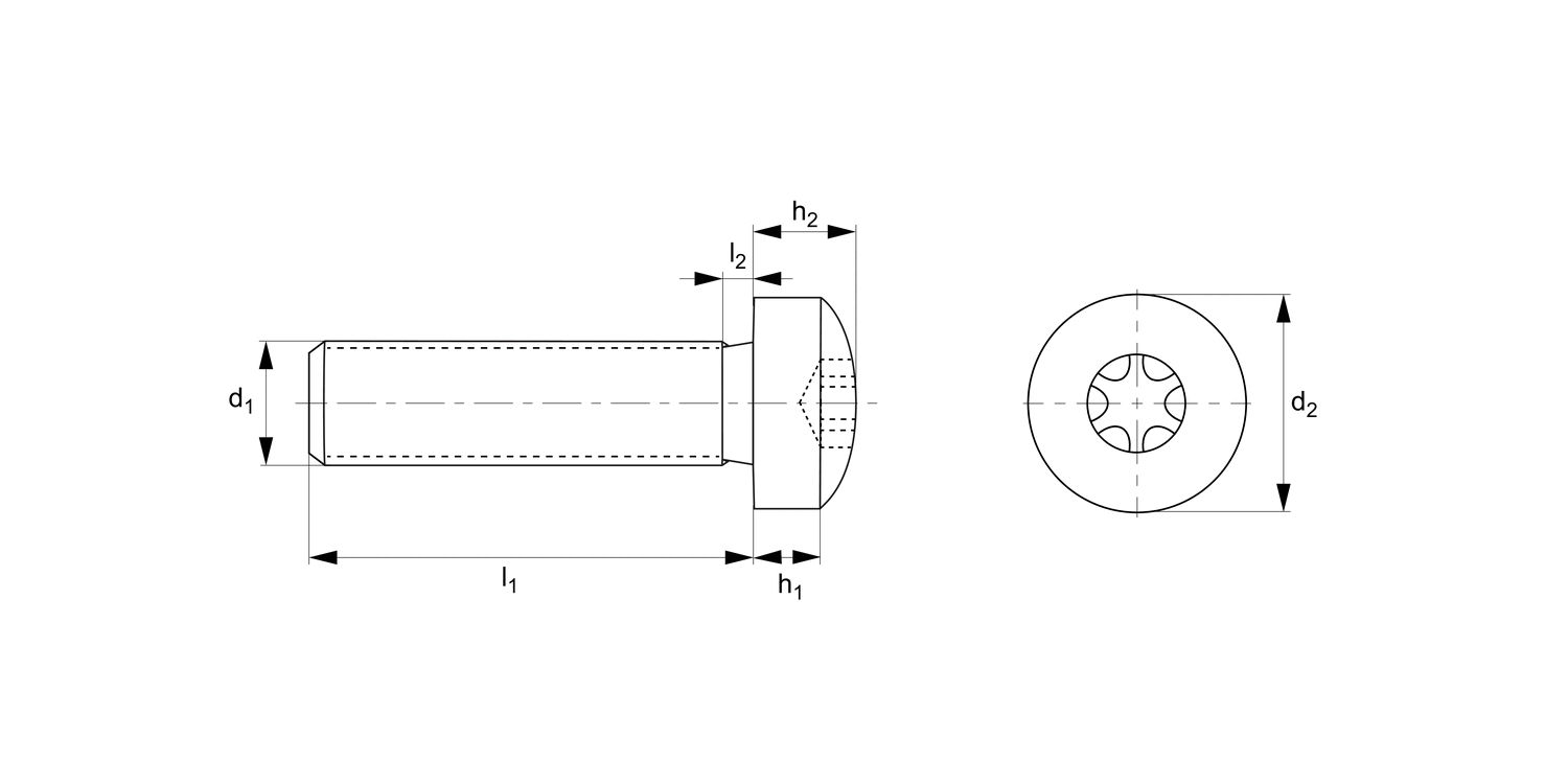 P0236.A4 TX Pan Head Screws