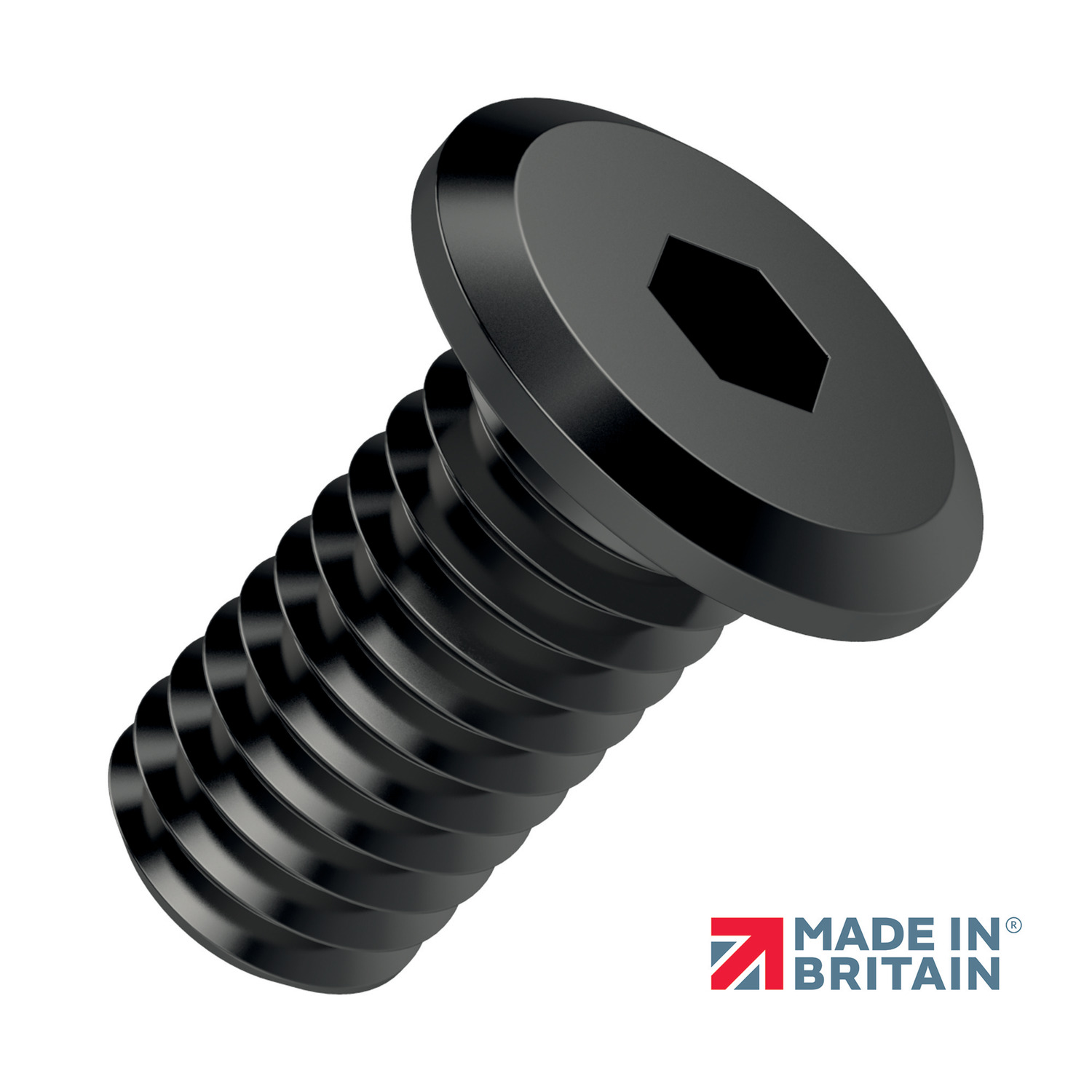 P0208.B2 Ultra Low Head Cap Screws