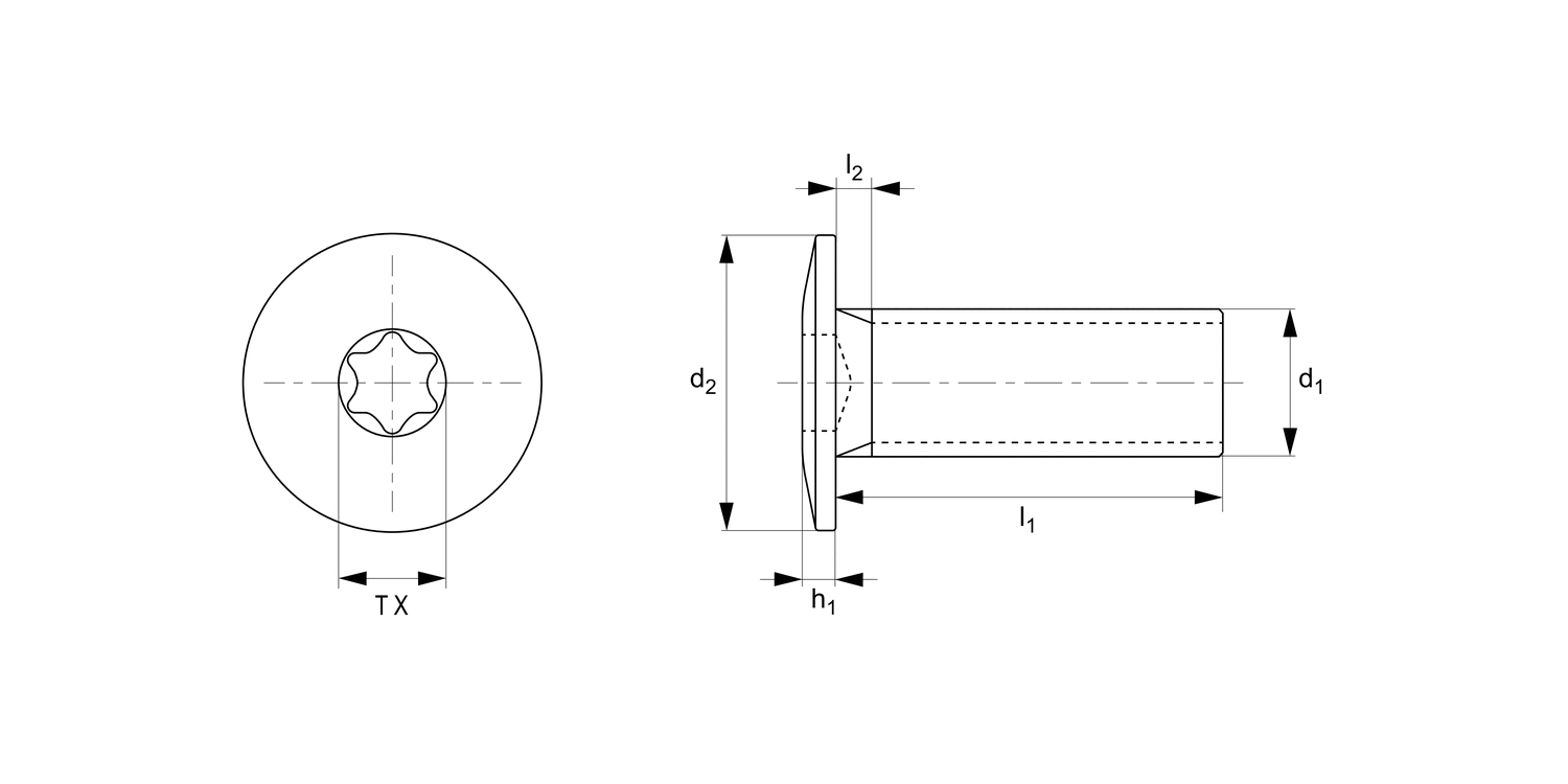 P0513.NP Torx Ultra Low Head Screws