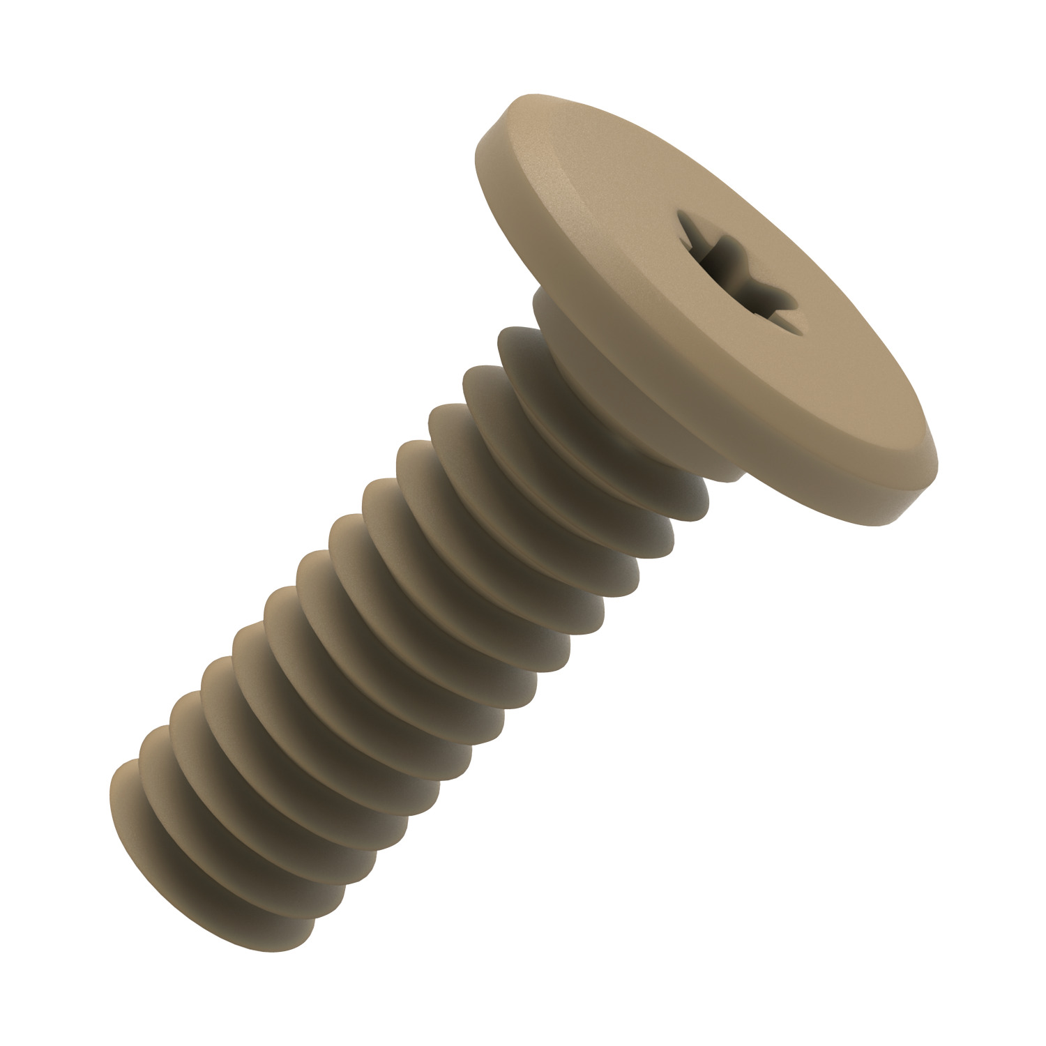 P0513.NP Torx Ultra Low Head Screws