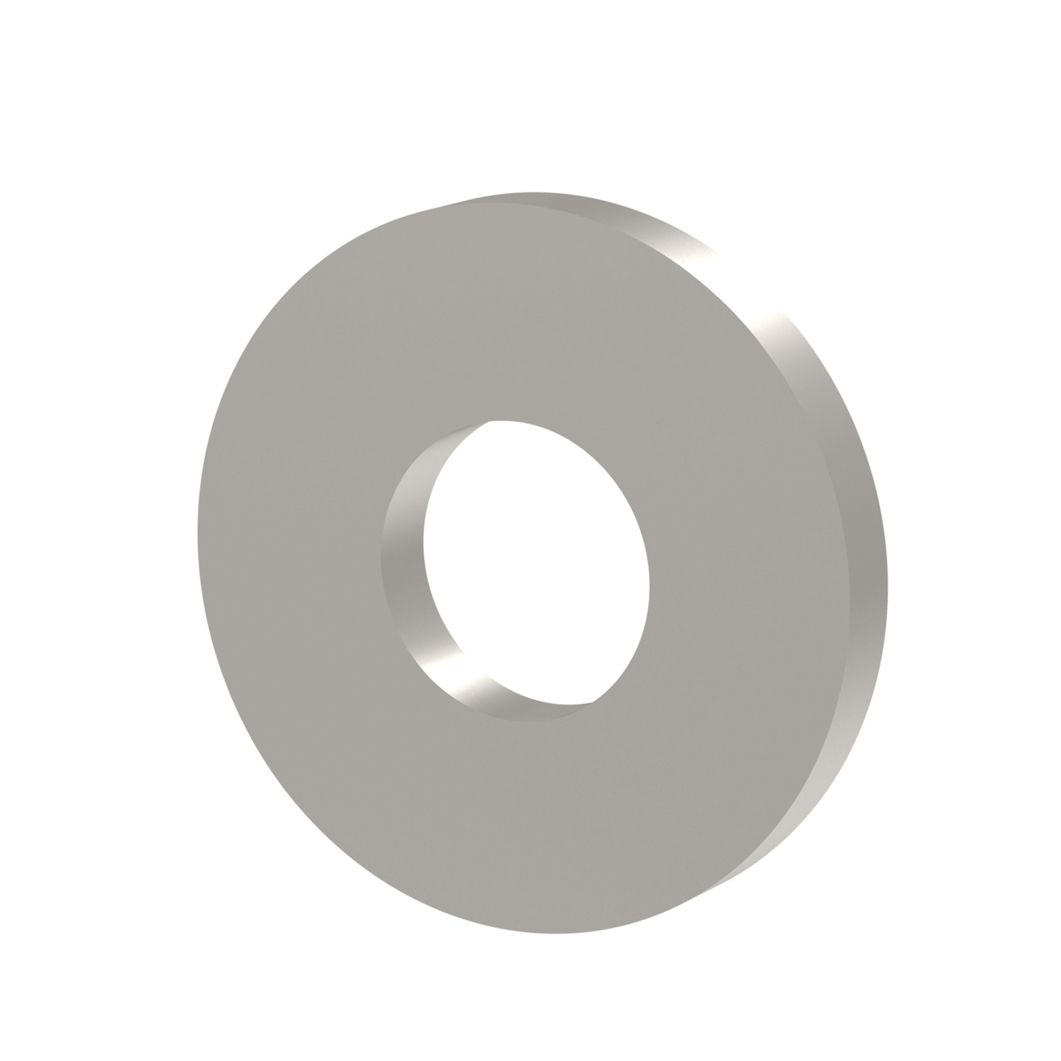 P0109 Titanium Washers